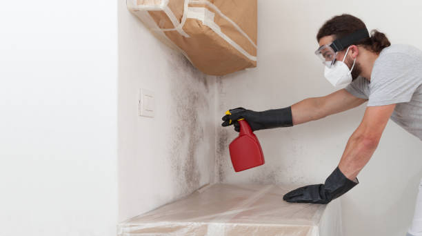 Professional Bathroom Mold Removal technician working in Towson, MD